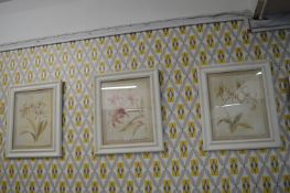 3x Framed French Floral Prints