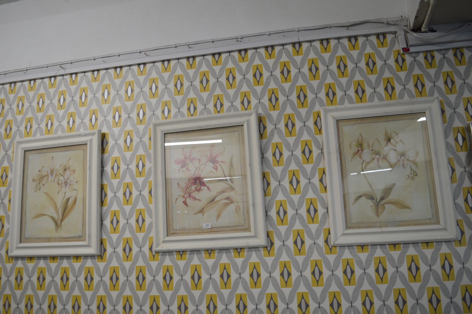 3x Framed French Floral Prints