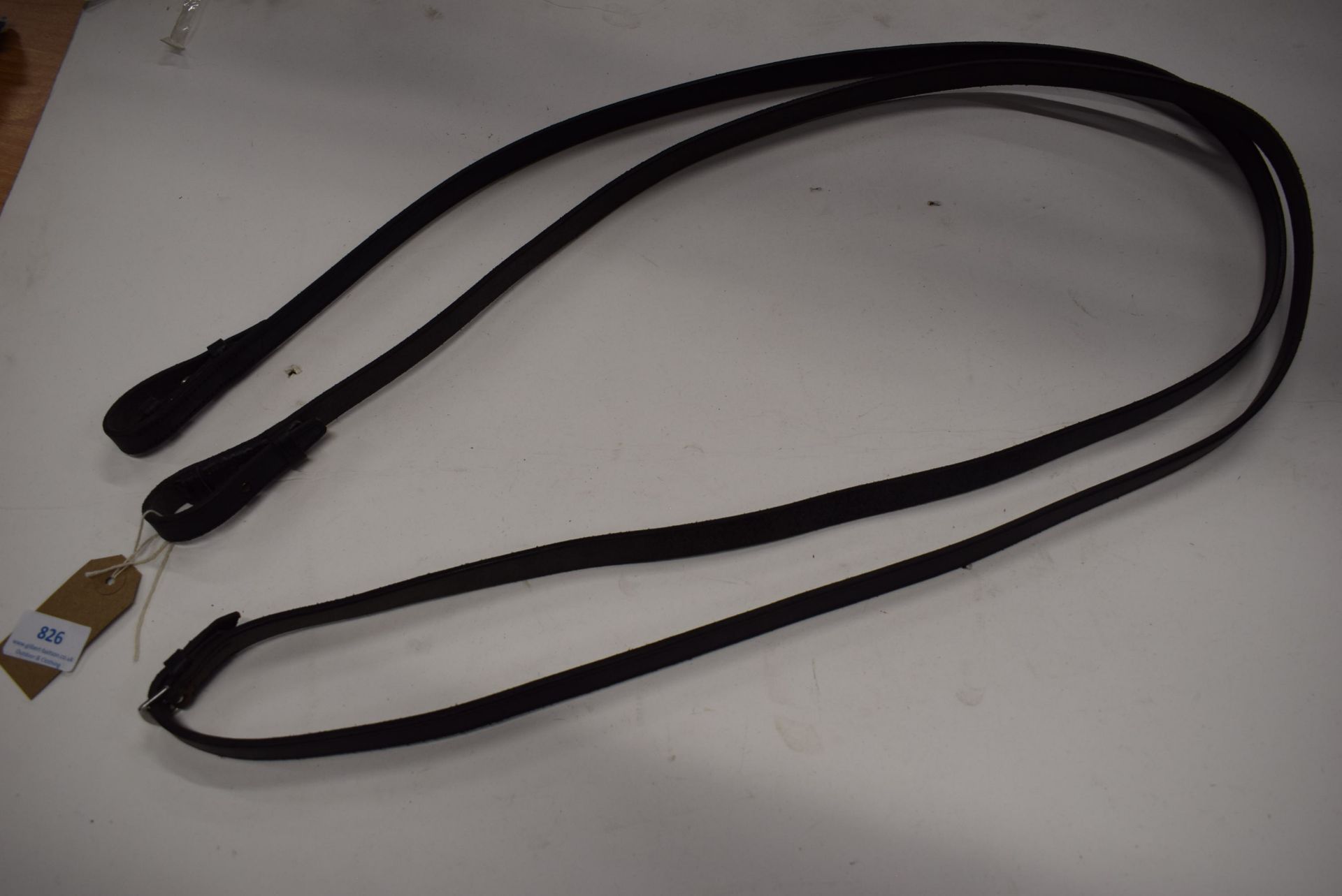 Black Leather Reigns