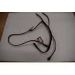 Leather Flash Noseband Cob Brown