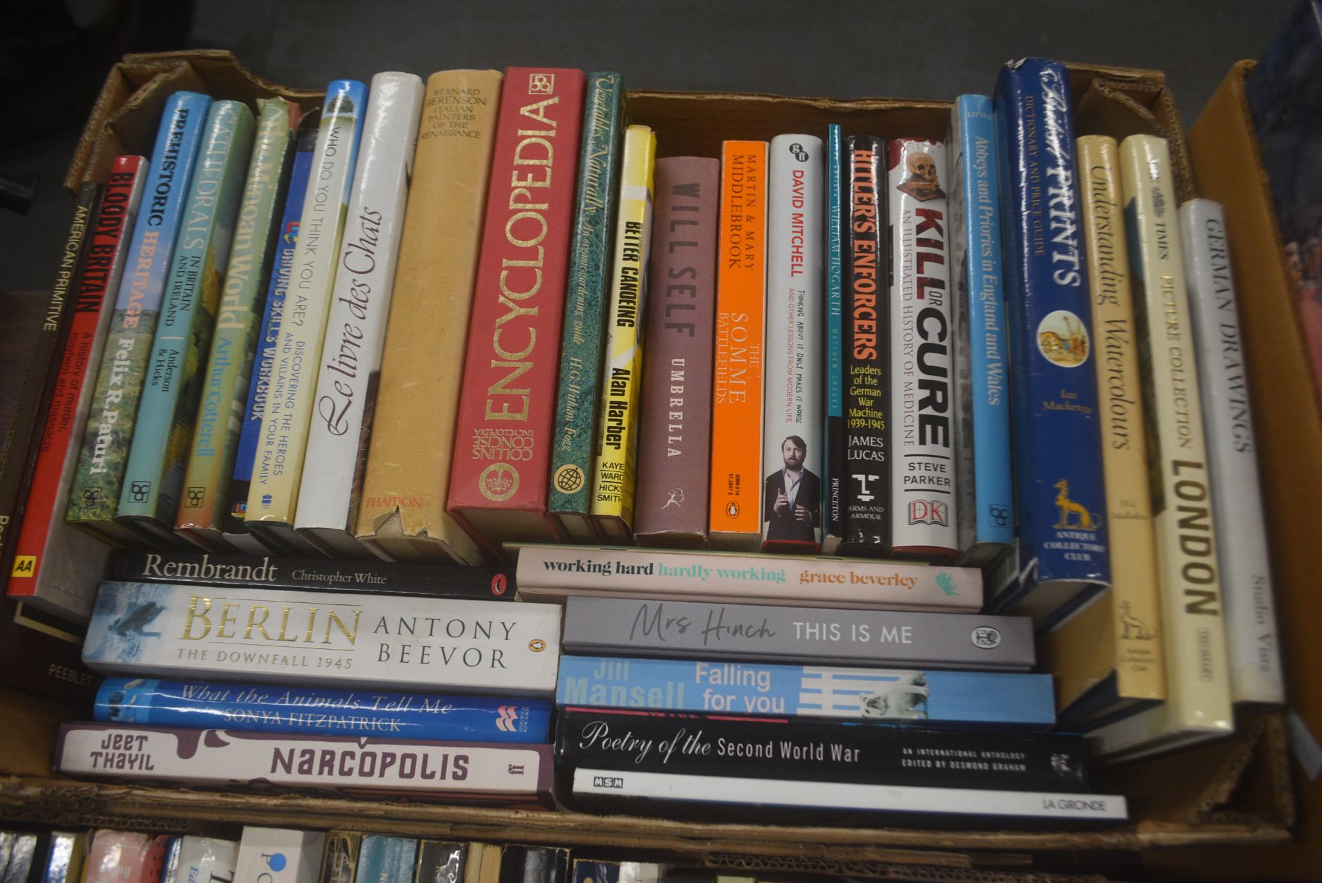 Large Quantity of Vintage Books Including Fiction Nonfiction, Educational, and Interest - Image 4 of 5