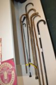 Assorted Walking Sticks