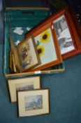 Framed Pictutres and Prints