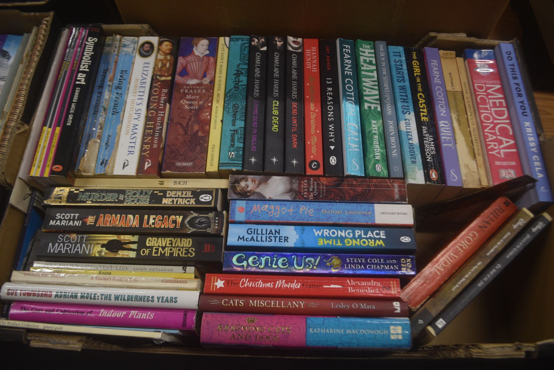 Large Quantity of Vintage Books Including Fiction Nonfiction, Educational, and Interest - Image 2 of 5