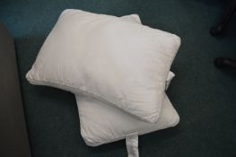 *Pair of Tencel Pillows