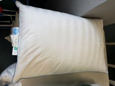 *Oekotex Single Pillow