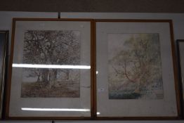 2x Framed Original Drawings