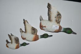 Musical Flying Ducks