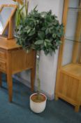 Artificial Bay Tree in Planter