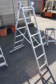MacAllister Combination Ladder