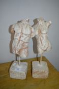 Pair of Plaster Torsos