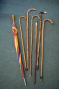 Walking Sticks and Umbrellas Including Silver Topped Cane