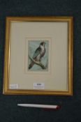 Woven Silk Picture of a Peregian Falcon