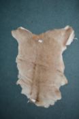 Reindeer Hide Rug