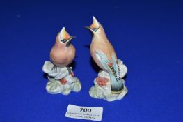 Pair of Royal Worcester Wax Wing Figures