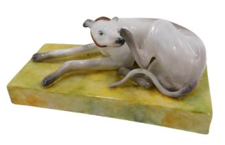 A Derby porcelain figure of a seated greyhound, with hind leg itching ear, in red collar on yellow