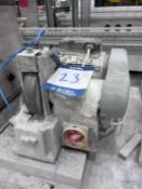 Bench top polisher