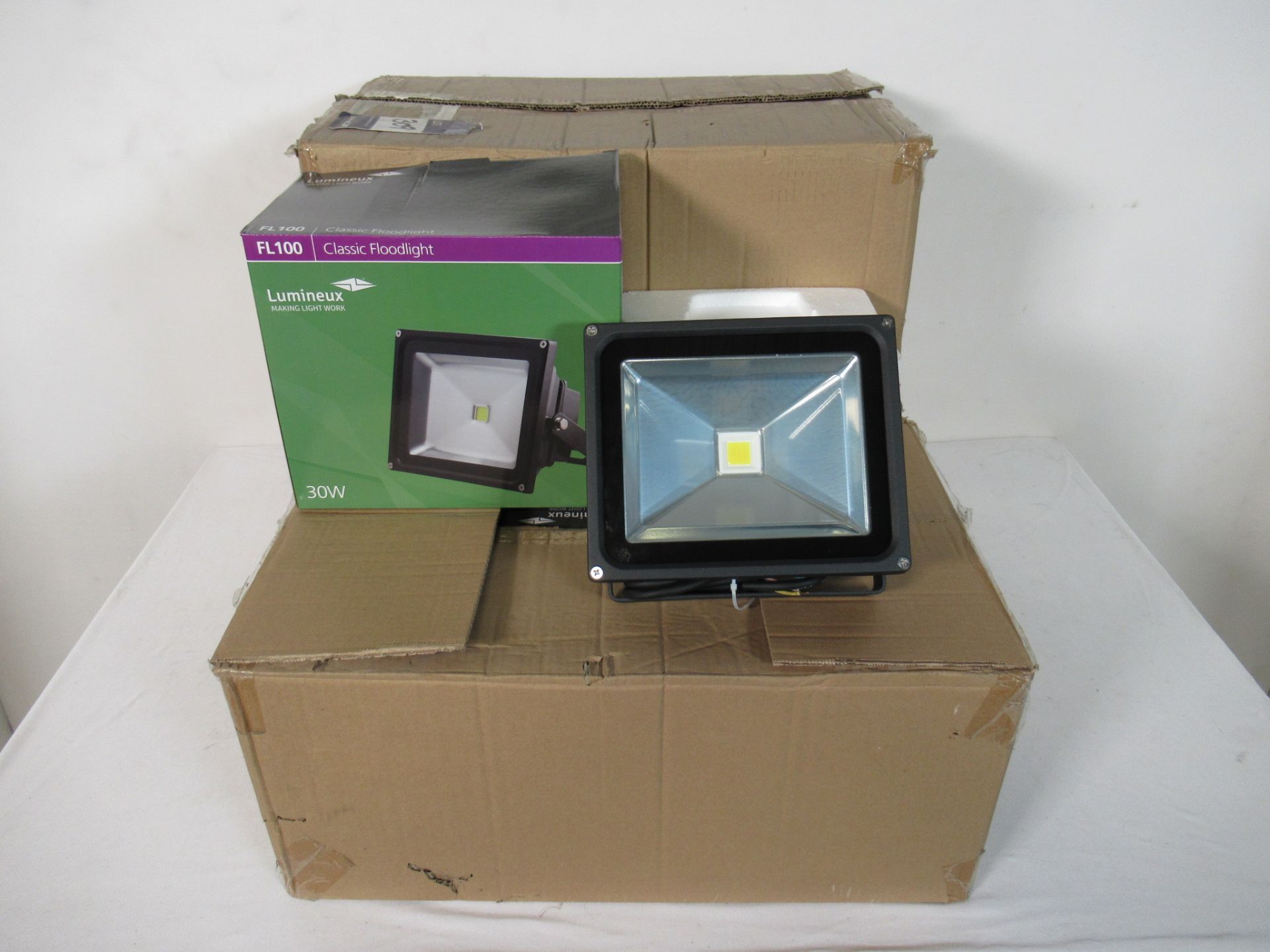 (12) Lumineux FL100 30W LED flood lights