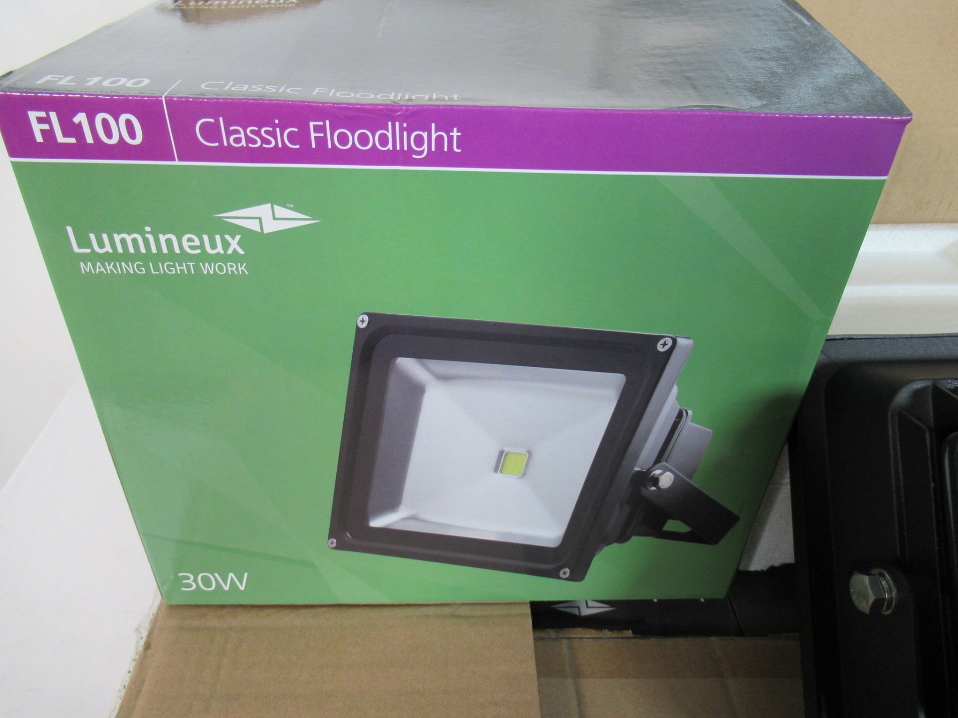 (12) Lumineux FL100 30W LED flood lights - Image 5 of 7