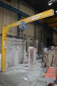Donati pedestal swivel jib crane