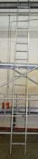 1 x Aluminium 17 Treat Work Ladder - Dimensions: H450 cms