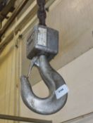1 x Demag Hoist with a 1 Tonne SWL Capacity