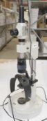 1 x Dioptometer - From a Working Optical Laboratory Environment - Dimensions: 60 cms - Ref: