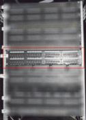 1 x Excel 48 Port Cat5e Patch Panel 2U