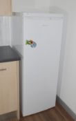 1 x Electra ELF145W Upright Refrigerator - Dimensions: H143 x W54 x D56 cms