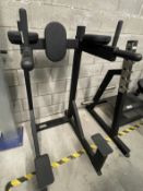 1 x Watson Assisted Counterbalanced Dip Station - Commercial Grade Heavy Duty Gym Equipment