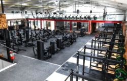 Contents of a High-End Commercial Gym & Fitness Facility - Features Premium Strength Machines, Power Racks, Weights, Cardio Equipment & More!