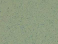 1 x Roll Of Altro Aquarius Wet Area/Wet Room Flooring In Treefrog Green - 20Sqm - RRP £1,120.00 -
