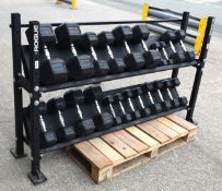 22 x Rogue KG Rubber Hex Dumbbell Weights with Storage Rack - Includes Sizes Ranging From 2.5kg to