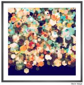 1 x KING & MCGAW Large Framed Art Print Of 'Cuban Cubic Spine' By Simon C Page - Original RRP 230.00