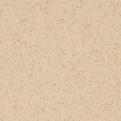 1 x Roll Of Altro Reliance D25 Heavy Wear Safety Flooring - Colour: Arena - 40Sqm - RRP £1,800.