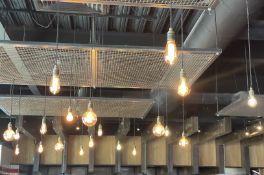 Approx 19 x Suspended Light Pendants
