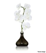 1 x SENTI 'The Orchid' Luxury Diffuser with Pepper & Spice Fragance (250ML) - Original Price £185.50