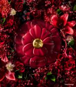 1 x LE CREUSET 'Petal' Enamelled Cast Iron Shallow 26cm Casserole Dish with Lid in Garnet Red -