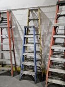 (2) Assorted Fiberglass Step Ladders, 8' & 6'