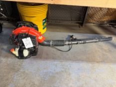 Echo PB-580T Gas Powered Backpack Blower