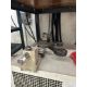 Haimer Power Clamp Heat Shrink Machine - Image 8 of 10