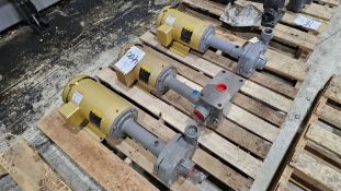 (2) Flowserve Pumps and (1) Seiki Pump