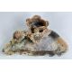 Chinese Soapstone Brushwasher with flowering lotus, early C20th - Image 5 of 10