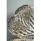 Pair of Silver Filigree Bonbonnieres, possibly Portugese, early C20th - Image 7 of 8