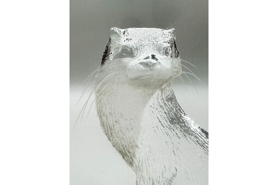 Lead crystal glass Otter paperweight, Mats Jonasson for Maleras Glasbruk, Sweden, late C20th - Image 5 of 8