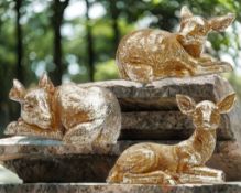 RRP £35.28 Total, Lot Consisting of 2 Items - See Description.