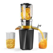 RRP £170.76 Overstock-Fyenkfar cold press slow juicer an ideal choice for healthy drinks