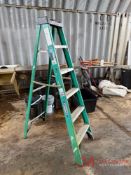 WERNER 6 FIBERGLASS LADDER