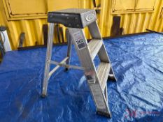 WERNER 2' LADDER
