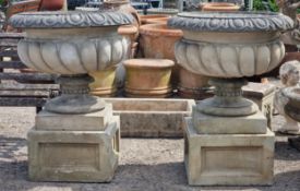 Haddonstone - Pair of reconstituted stone 'Westonbirt' garden urns with spiralled bowls and darted